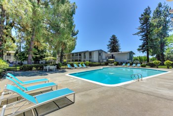 Swimming Pool Area with teal lounge chairs and Trees in the background.